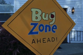 The Bug Zone