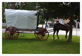 Horse & Wagon