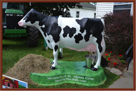 Thank you 
St Albans CO-OP
 for loaning us your COW