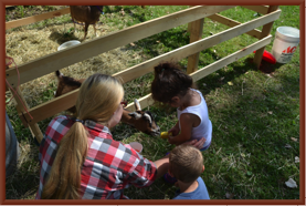 Feeding the Goats