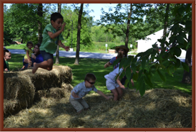 Hay PIle Fun!